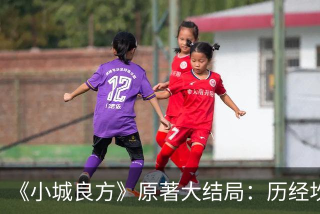 《小城良方》原著大结局：历经坎坷，刘铮亮艾辰终成眷属